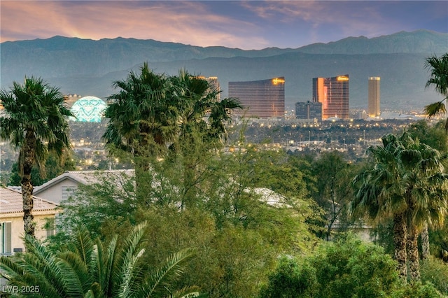 6999 Stone Meadows Ave, Las Vegas, NV 89142 - mountain view
