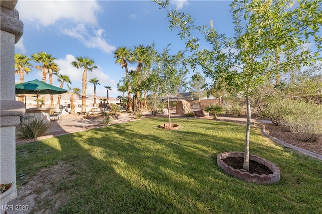 6999 Stone Meadows Ave, Las Vegas, NV 89142 - view of green lawn featuring a patio