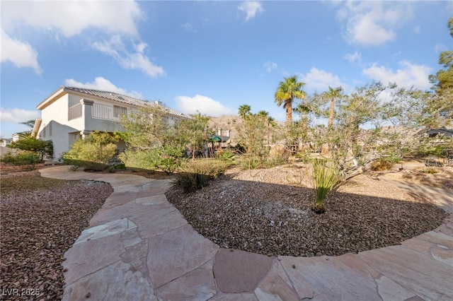 6999 Stone Meadows Ave, Las Vegas, NV 89142 - view of yard