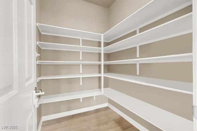 7428 Alamo Ranch Ave, Las Vegas, NV 89179 - view of pantry