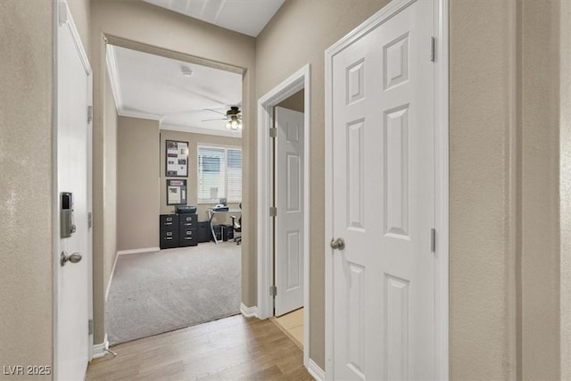 7428 Alamo Ranch Ave, Las Vegas, NV 89179 - hallway featuring crown molding, light wood-type flooring, an office area, and baseboards