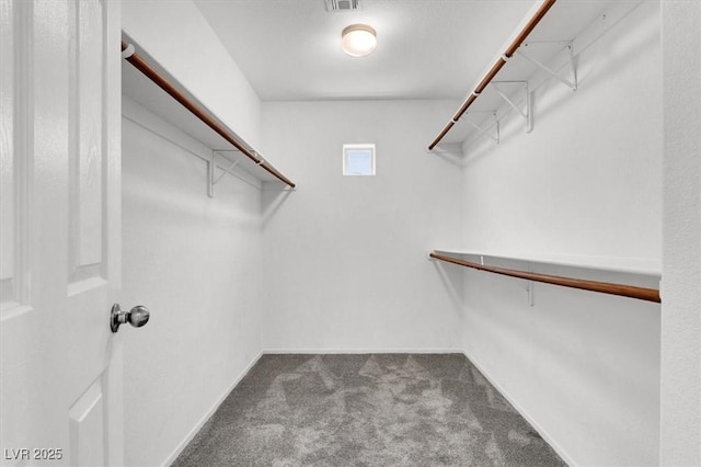 10230 Viterbo St, Las Vegas, NV 89183 - walk in closet with carpet flooring
