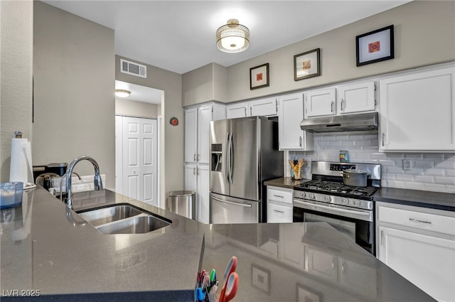 8501 W University Ave Unit 1083, Las Vegas, NV 89147 - kitchen with stainless steel appliances, under cabinet range hood, a sink, and dark countertops