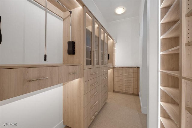 8130 Cassian Ct, Las Vegas, NV 89129 - spacious closet with light carpet