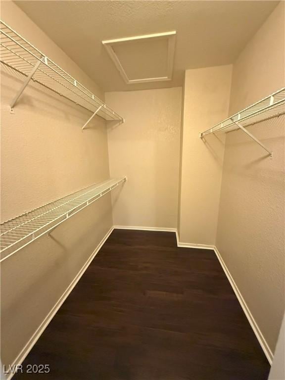 7969 Cina Ave, Las Vegas, NV 89147 - spacious closet with wood finished floors and attic access