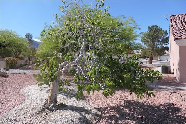9917 Arbuckle Dr, Las Vegas, NV 89134 - view of yard with cooling unit