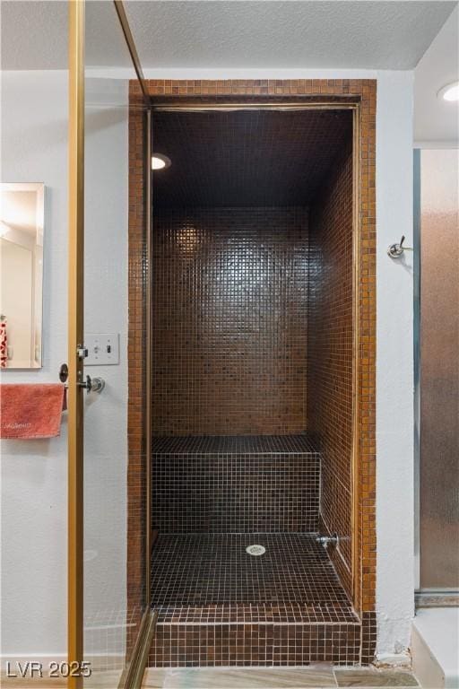 2479 Domingo St, Las Vegas, NV 89121 - full bath with a stall shower