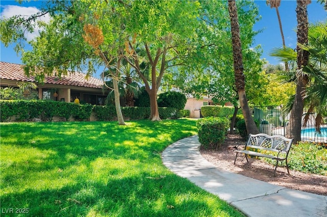 2479 Domingo St, Las Vegas, NV 89121 - view of yard