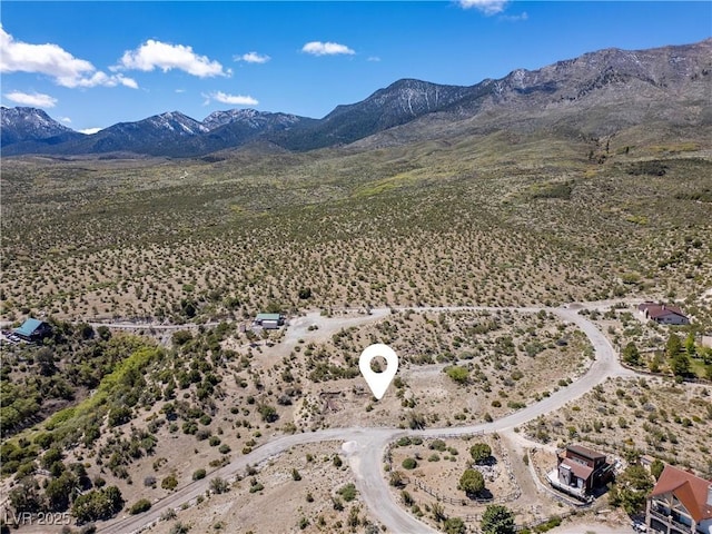 175 Rudin Dr, Cold Creek, NV 89124