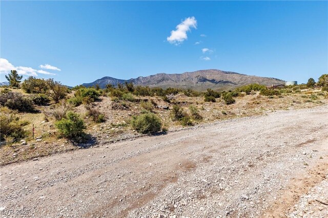 175 Rudin Dr, Cold Creek, NV 89124
