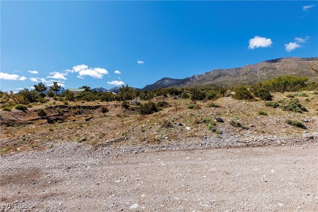 175 Rudin Dr, Cold Creek, NV 89124