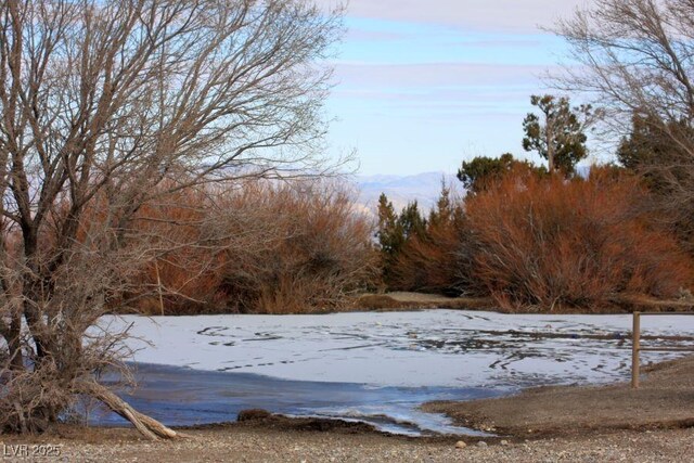 175 Rudin Dr, Cold Creek, NV 89124