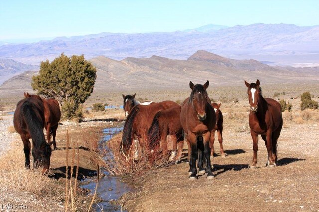 175 Rudin Dr, Cold Creek, NV 89124