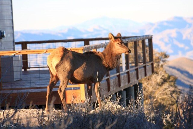 175 Rudin Dr, Cold Creek, NV 89124