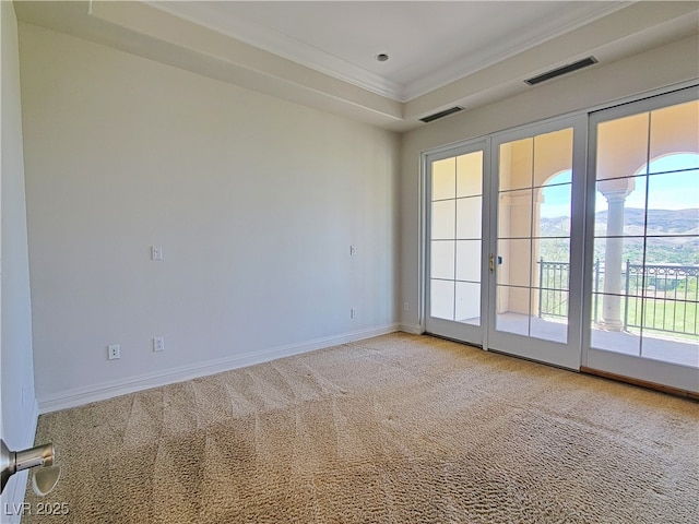 carpeted spare room featuring crown molding, healthy amount of natural light, and baseboards