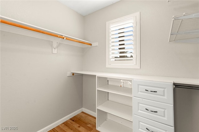 walk in closet featuring light wood-type flooring