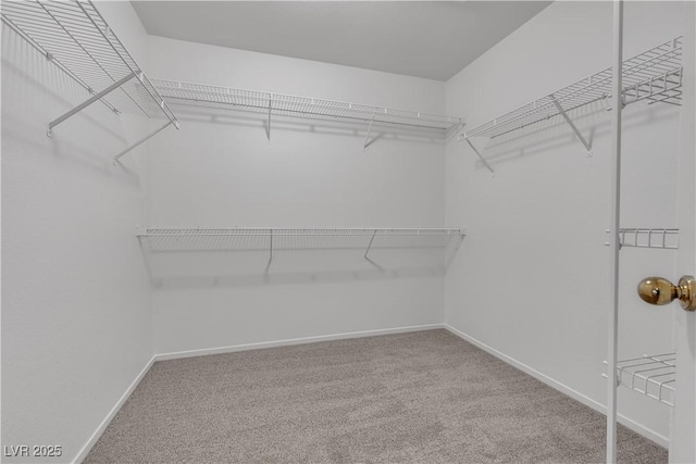 8437 Apple Hill Ct, Las Vegas, NV 89128 - spacious closet featuring carpet floors