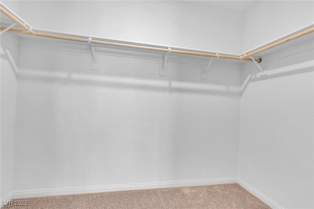 2846 Cerulean Stars Ln Unit 1, Las Vegas, NV 89183 - walk in closet with carpet