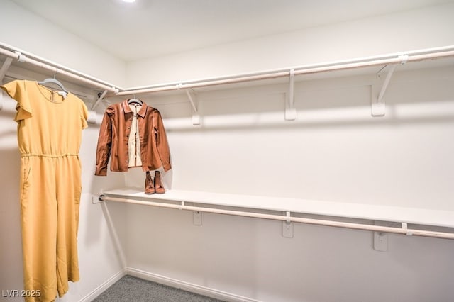 6521 Cinnamon Hazelnut St Lot 91, North Las Vegas, NV 89084 - walk in closet featuring carpet