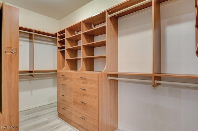10608 Trussell St, Las Vegas, NV 89141 - spacious closet with wood finished floors