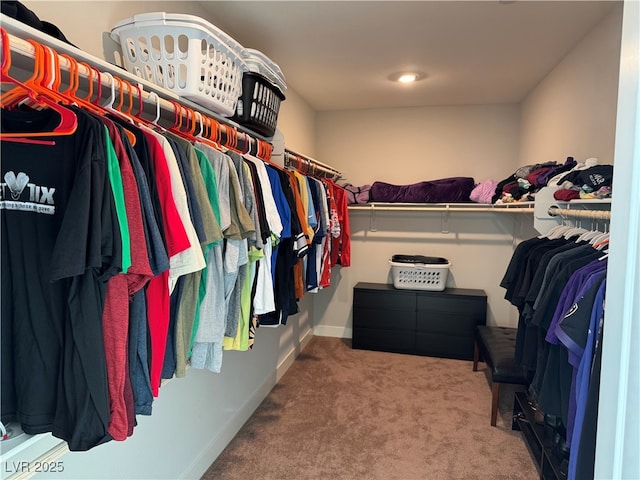 7855 Skyler Falls Ln, North Las Vegas, NV 89084 - walk in closet with carpet