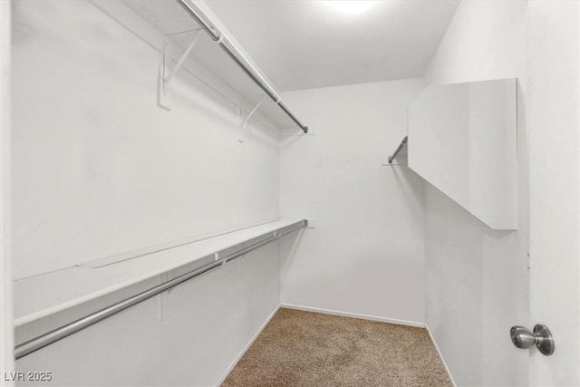 6581 Netherseal Ave, Las Vegas, NV 89139 - walk in closet featuring light carpet