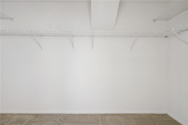 8913 Loggers Mill Ave, Las Vegas, NV 89143 - spacious closet with carpet floors