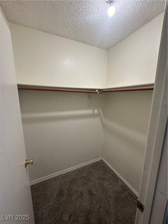 227 N Lamb Blvd Unit A, Las Vegas, NV 89110 - spacious closet with carpet