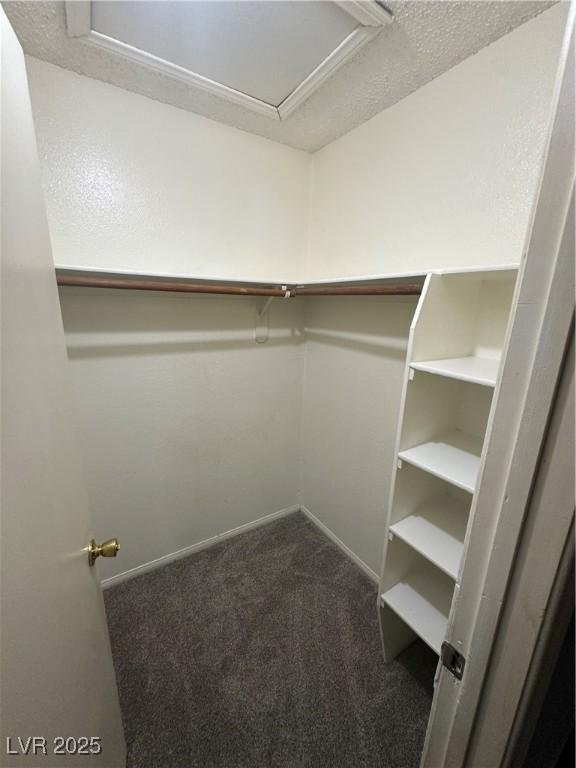 227 N Lamb Blvd Unit A, Las Vegas, NV 89110 - spacious closet with dark colored carpet
