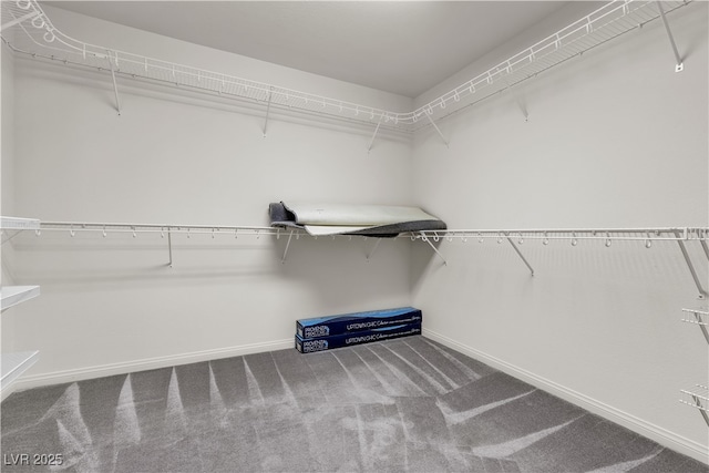 5661 Brimstone Hill Ave, Las Vegas, NV 89141 - walk in closet featuring carpet