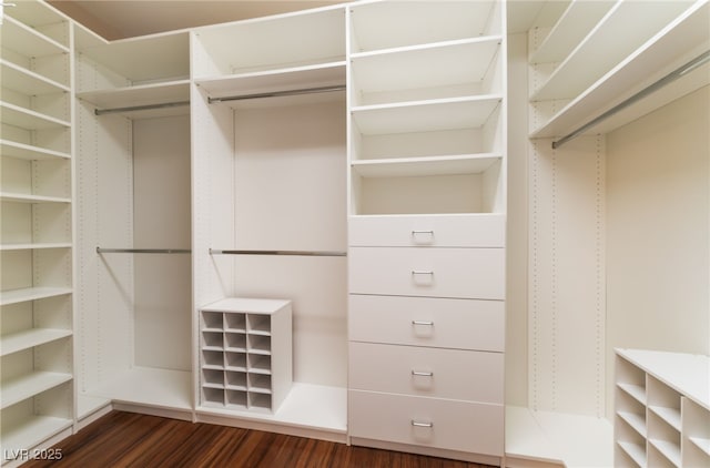 11405 Perugino Dr, Las Vegas, NV 89138 - spacious closet with dark wood finished floors