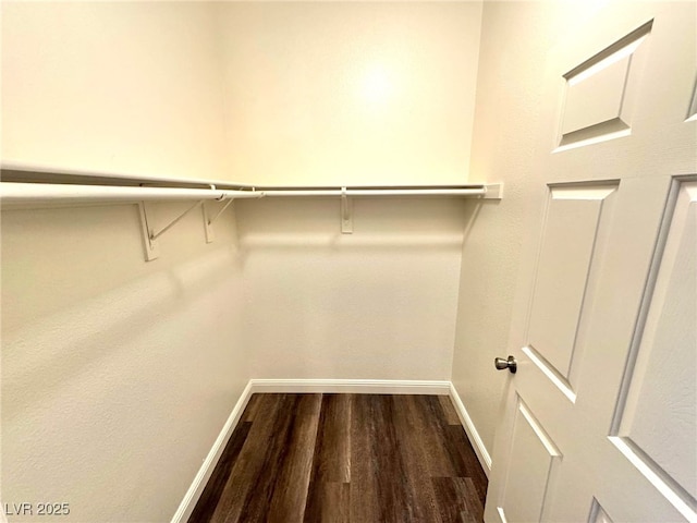 5250 S Rainbow Blvd Unit 2029, Las Vegas, NV 89118 - walk in closet with dark wood-style flooring