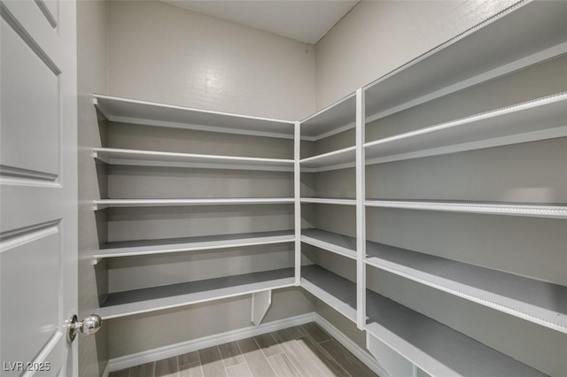 9239 Albus Hills Ave, Las Vegas, NV 89143 - view of storage area