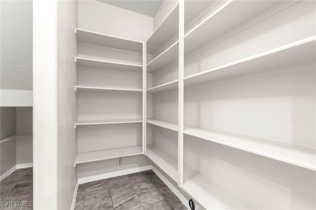 11847 Corenzio Ave, Las Vegas, NV 89138 - view of storage area
