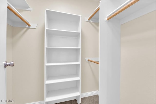 542 Grimsby Ave, Henderson, NV 89014 - walk in closet with carpet floors