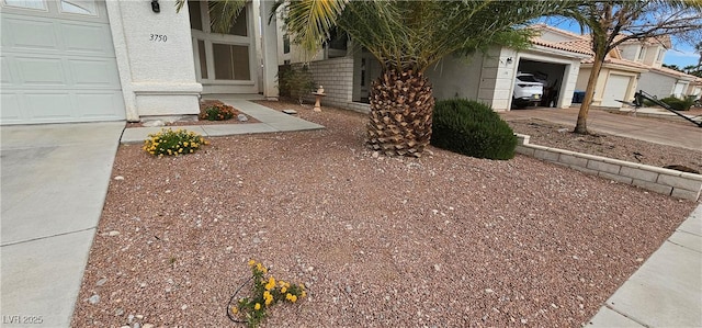 3750 Morning Canyon St, Las Vegas, NV 89147 - view of yard featuring an attached garage and driveway