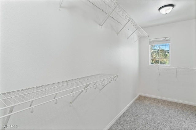 5116 Iron Crossing Ave, Las Vegas, NV 89131 - walk in closet with light colored carpet