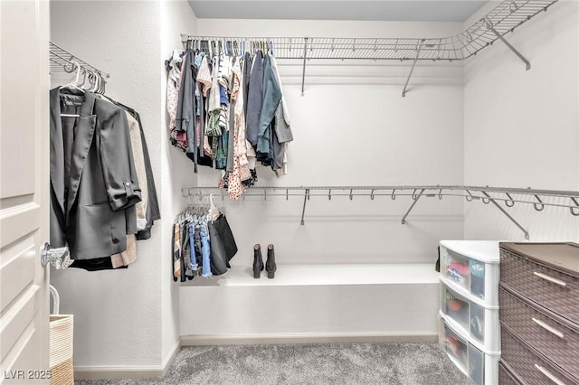 8076 Haywood Estate Ave, Las Vegas, NV 89113 - walk in closet with carpet