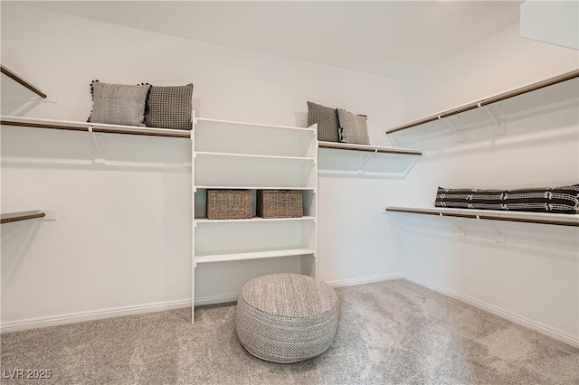 9564 Archer Peak Ct, Las Vegas, NV 89143 - walk in closet with carpet