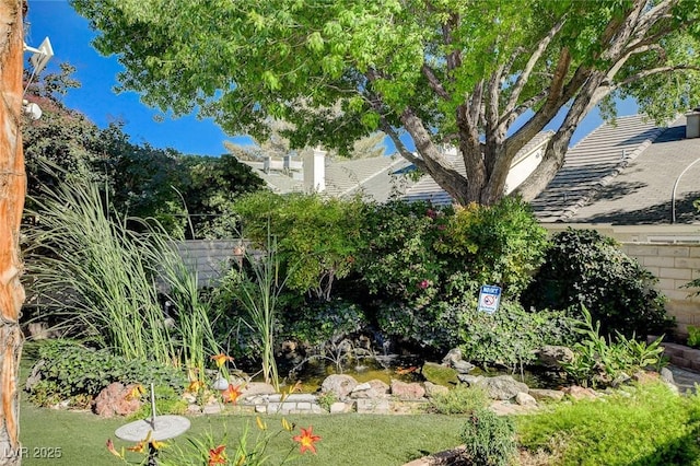 7109 Deepriver Cir, Las Vegas, NV 89129 - view of yard