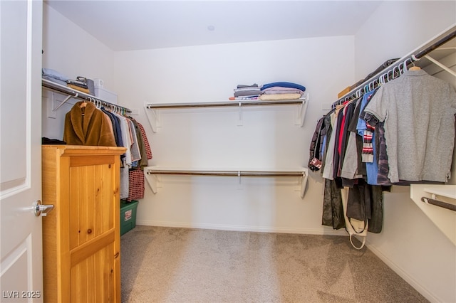 8665 Jerlyn St, Las Vegas, NV 89113 - walk in closet featuring carpet floors