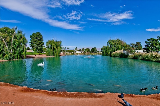 5028 Glenarden Dr, Las Vegas, NV 89130 - photo 30