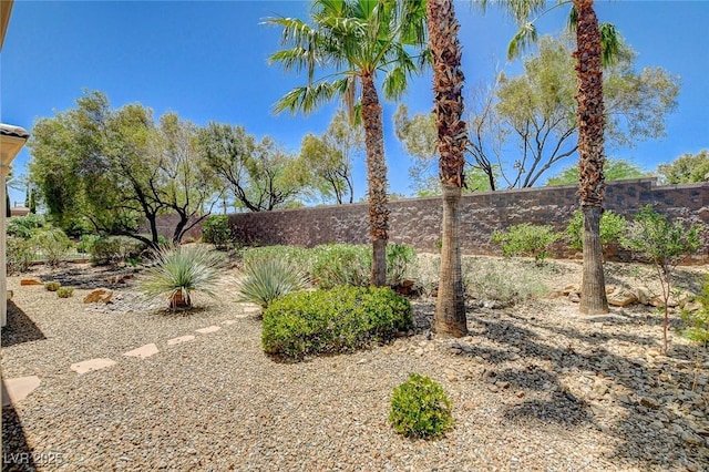 4845 Santo Romeo St, Las Vegas, NV 89135 - view of yard
