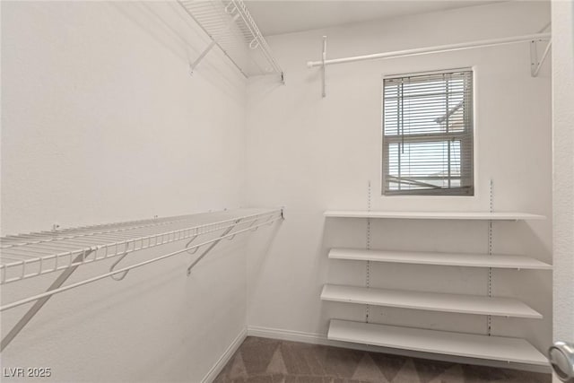 104 Big Cliff Ave, North Las Vegas, NV 89031 - walk in closet featuring dark carpet