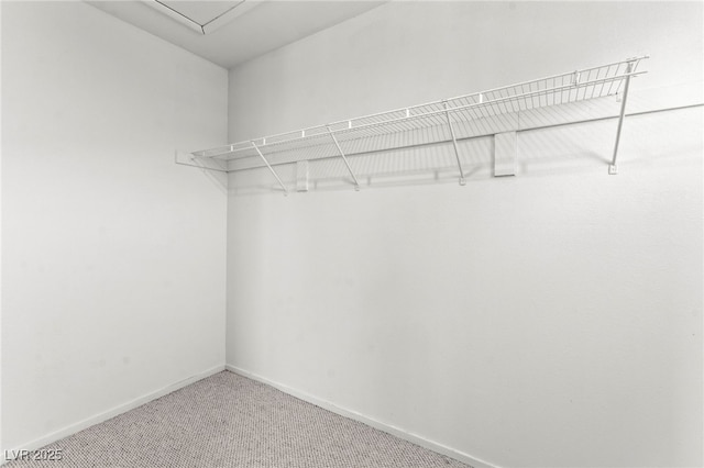 5615 Calais Ct, Las Vegas, NV 89118 - walk in closet featuring carpet floors
