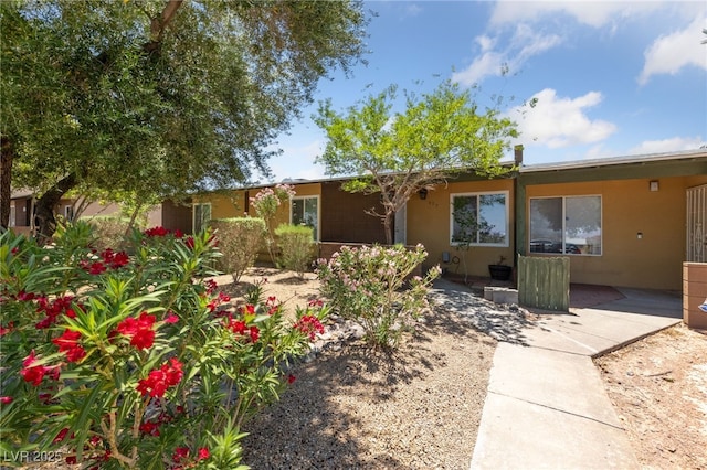 317 E Van Wagenen St, Henderson, NV 89015 - photo 19