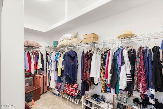 10404 Long Leaf Pl, Las Vegas, NV 89134 - walk in closet with carpet flooring