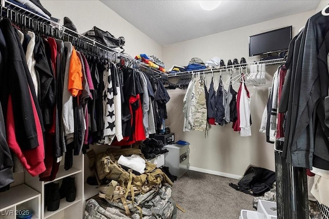 6857 Stone Tower Ct, Las Vegas, NV 89149 - spacious closet with carpet flooring