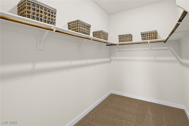 4250 E Brusca Way, Pahrump, NV 89061 - walk in closet with dark carpet