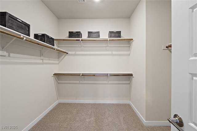 4180 E Brusca Way, Pahrump, NV 89061 - walk in closet with carpet